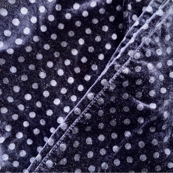 J.Crew Women’s Navy Blue Polka-Dot Velvet Toothpick Skinny Leg Pants Size 28 - Picture 5 of 5